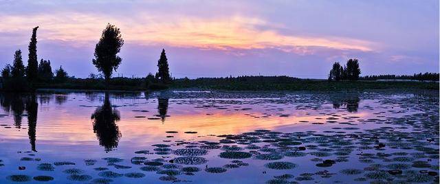 江西風景獨好|百強縣旅游特色推薦,贛鄱首府首縣南昌縣歡迎你!