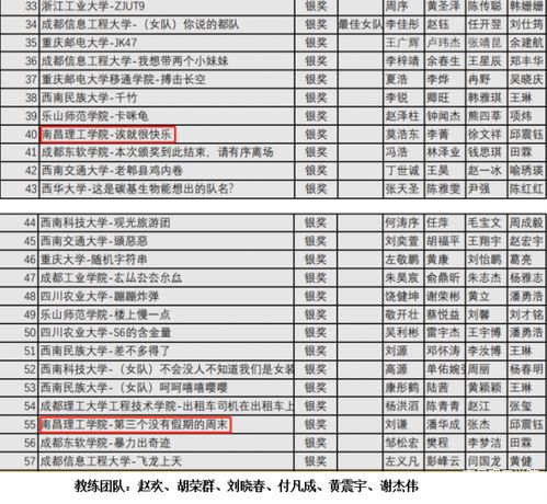 南昌理工學院在四川省計算機程序設計競賽中榮獲銀獎