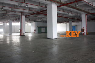 深圳鹽田保稅區 專業倉儲物流一站式解決方案